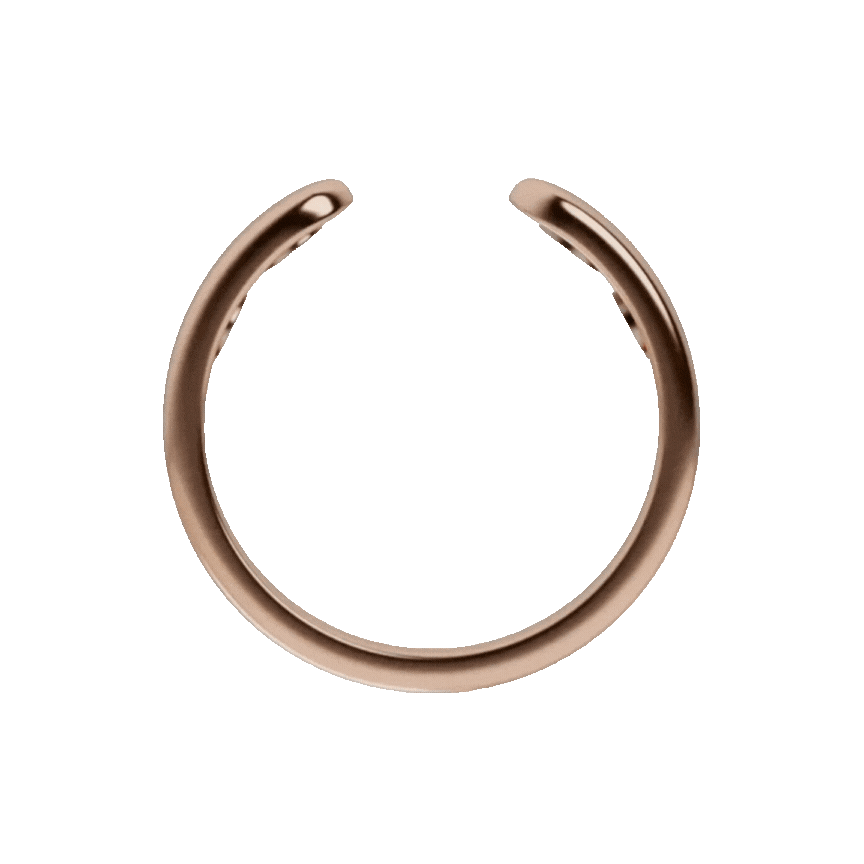 AcuWalk Welness Ring